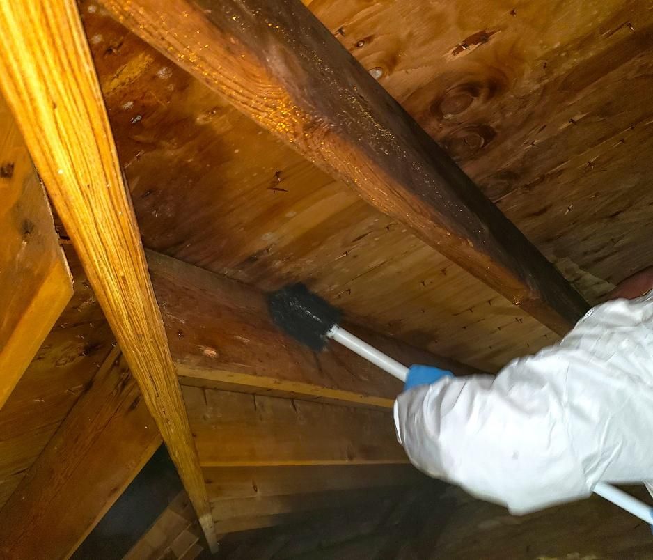 sampling mold in attic during a home inspection in the Lowcountry